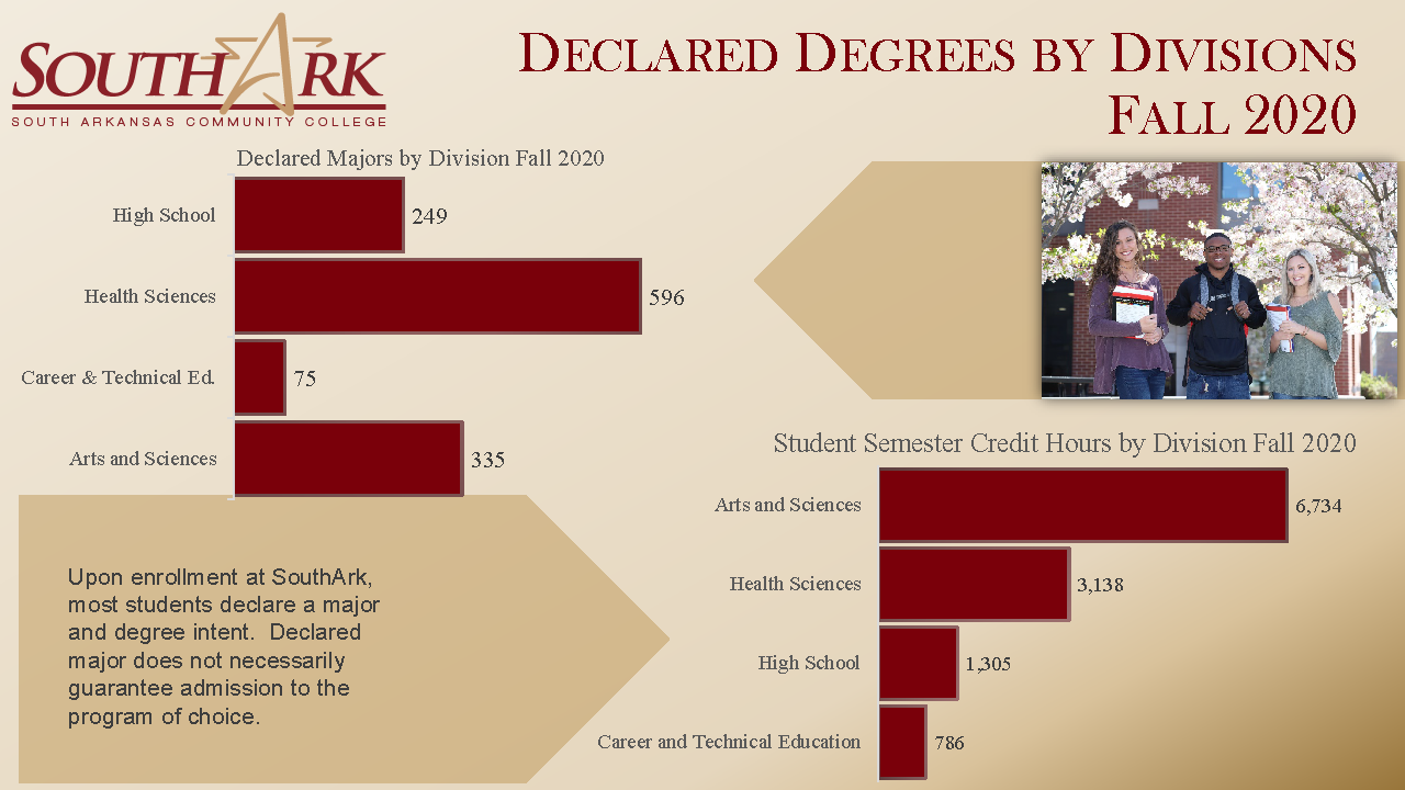 Declared Degrees by Divisions Fall 2020